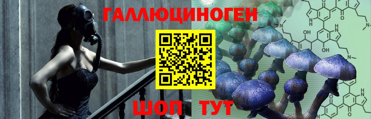 Псилоцибиновые грибы мицелий Печора